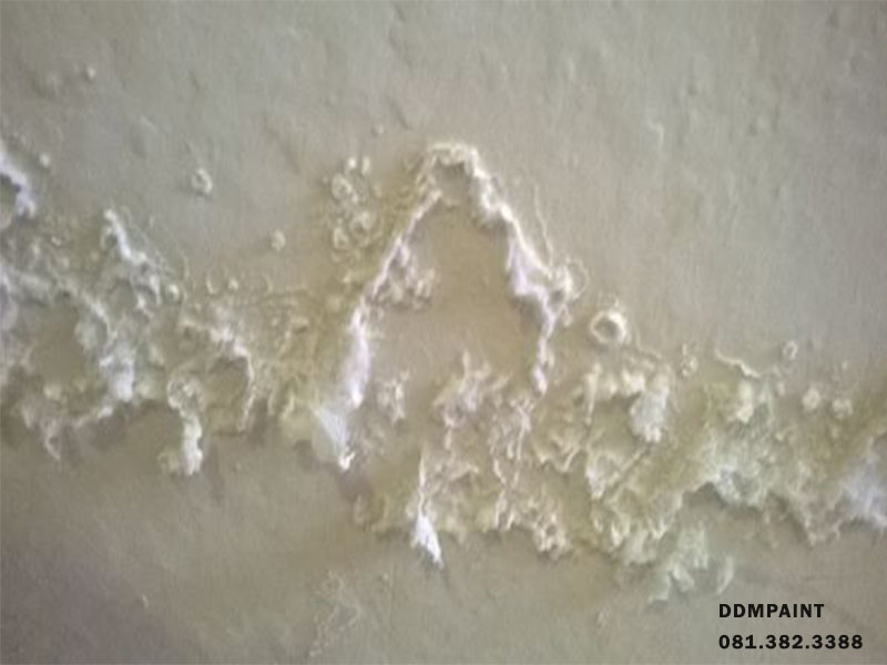 Lỗi sơn tường-lớp sơn chân tường bị rộp